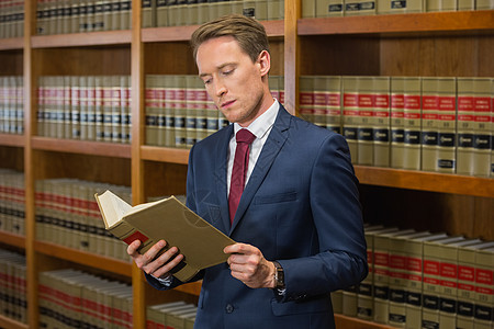 法律图书馆的英俊律师专注体积教科书校园知识男性架子学习大学学校图片