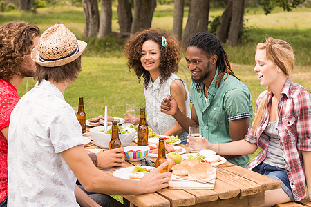 快乐的朋友们在公园吃午饭亲密感混血农村潮人野餐男人啤酒绿地女士阳光图片