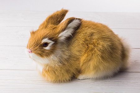 姜汁小兔填充兔子动物玩具木板宠物木头图片