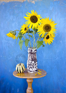 古陶瓷花瓶中美丽的夏日向日葵图片