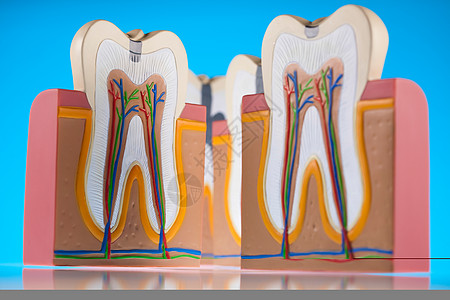 牙齿 亮亮多彩的音调概念牙医衰变树脂指甲空腔口腔科神经牙科打扫咀嚼图片