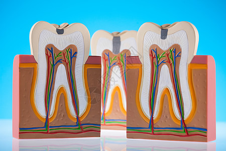 牙齿 亮亮多彩的音调概念感染咀嚼疼痛树脂牙医口腔科身体指甲磨牙卫生图片