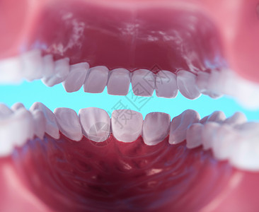 牙齿解剖 亮亮多彩的音调概念打扫身体神经疼痛指甲感染树脂牙科牙龈咀嚼图片