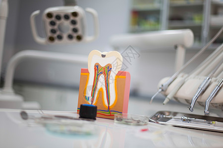 牙齿解剖学 明亮多彩的音调概念动脉牌匾牙科口腔科指甲牙医打扫神经卫生疼痛图片