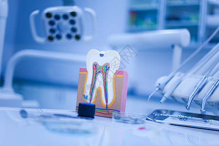 牙齿解剖学 明亮多彩的音调概念牙医打扫牙科感染空腔指甲牙龈衰变树脂咀嚼图片