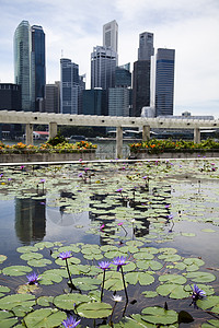 新加坡市风景 金融中心财富建筑学建筑地标银行商业海岸景观城市管理人员图片