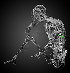 3d 提供脾脏的医学插图医疗健康病人解剖学生物学诊断药品x光器官图片