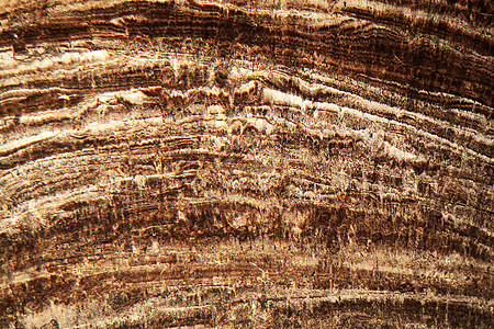 累拉石的细微部分异国科学石灰石石头碳酸盐薄片气候地质学古生物学水晶图片