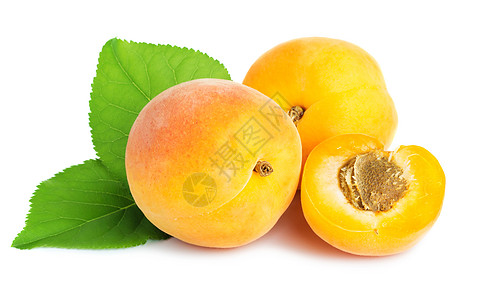 提取杏子水果天鹅绒圆形饮食团体黄色美食金子果皮食物图片