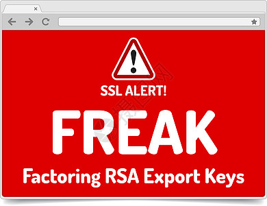 FRATEK  保理RSA出口密钥安全简单警告 o网络密码攻击网页格式冒险失败互联网浏览器危险图片