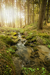 森林中小山河的瀑布太阳生态液体耀斑溪流细流河道石头流动运动图片