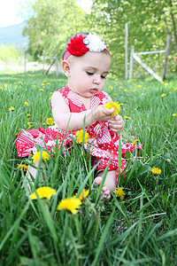 婴儿女婴女孩乐趣孩子植物群晴天黑发草地植物花朵童年图片