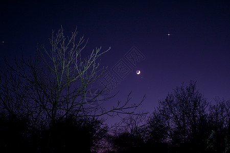 与月球 金星和阿尔代巴兰一起夜空摄影太空数字天象天空天文学毕宿苍穹月相新月图片