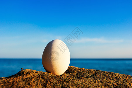 白蛋生活鸡蛋家禽椭圆形海滨动物蛋黄支撑禅意脆弱性图片