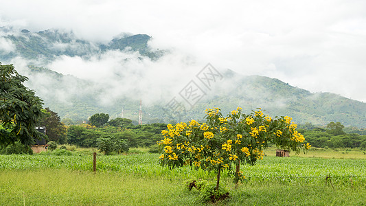 坦桑尼亚东部地区乌卢古鲁山Uluguru天气日出山脉地质图片