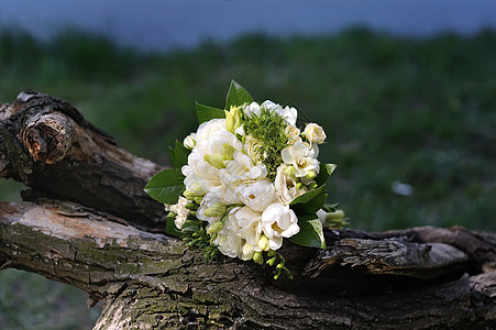 以自然为主题的婚礼新娘花束图片