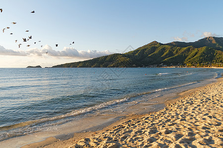 海洋旅游冲浪天空海岸假期反射闲暇热带海景天堂图片