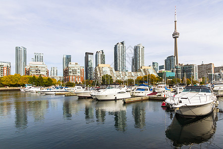 加拿大多伦多秋季吸引力蓝色旅游纪念碑树叶建筑城市建筑学地标天空图片
