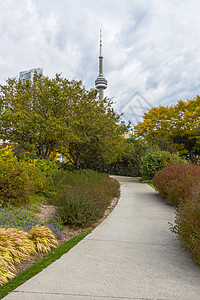 加拿大多伦多秋季天际商业纪念碑游客建筑学城市吸引力旅行树叶景观图片