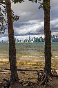 加拿大多伦多秋季蓝色建筑纪念碑景观商业地标港口树叶日落天际图片