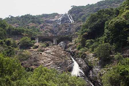 丛林的瀑布 悬崖上铁路的美丽景象 Indiya Goa植物群情调叶子冒险森林木材雨林植被荒野栖息地图片