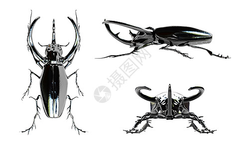 犀牛甲虫电脑反射怪物昆虫渲染甲虫喇叭黑色漏洞白色图片