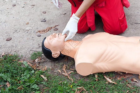 脉冲测量训练玩具情况健康事故学习紧迫感救援脉冲生活图片