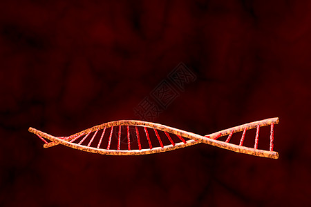 人类DN技术工程生物实验室化学起源艺术公式药品编码图片