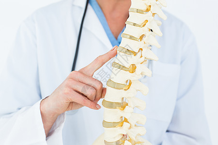 患有解剖脊椎的女医生解剖学专业工作服骨科检查服务实验诊断考试脊柱图片