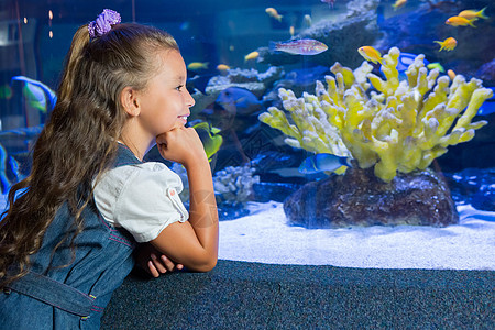 小女孩在看鱼缸水族馆生活女孩游泳女性微笑海上生活生物学环境童年图片