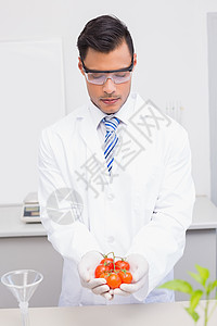 基因 研究持有西红柿保护眼镜的科学家;背景
