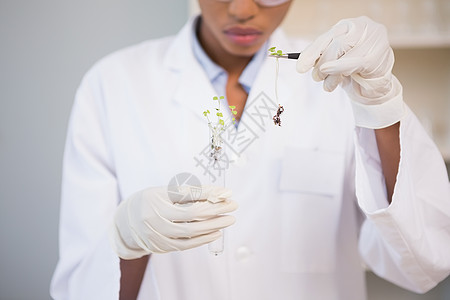 科学家对试验管中芽的观察幼苗专注医学女性试管化学家化学防护眼镜保健研究图片