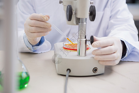 科学家用显微镜检查花心盘技术科学家实验室橙子手套防护研究工作服药品实验图片