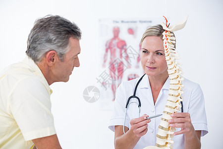 给病人看脊椎模型的医生康复疼痛成人治疗师会议女性检查男性桌子按摩师图片