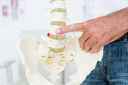医生显示解剖脊椎从业者骨科职业医院人体服务诊断考试专家脊柱图片