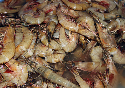 印度果阿 印度鱼市场上的新鲜虾子餐厅荒野动物水产品午餐近距离生产烹饪营养饮食图片