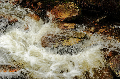 春溪运动森林绿色环境植物风景苔藓溪流公园岩石图片