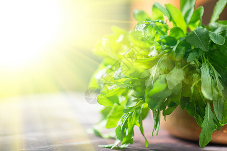 鲁科拉植物香料沙拉乡村草本植物美食农业蔬菜芳香饮食图片