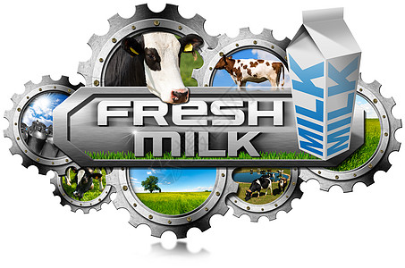 生产新鲜牛奶     金属齿农业蓝色动物家畜罐头商业工厂奶牛插图盒子图片