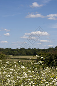 英国乡村 霍尔默格林 白金汉郡国家蓝色孩子们丘陵场地农场农业小路绿色天空图片