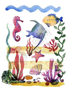 一组不同的海壳 珊瑚和海星动物热带墙纸插图海滩水彩生活艺术绘画野生动物图片
