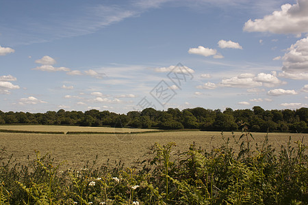 英国乡村 霍尔默格林 白金汉郡国家小路场地天空农业丘陵孩子们绿色风景蓝色图片