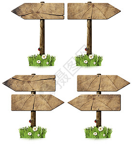 带有极地的一组方向木质标志冒险收藏雏菊木头插图团体农村广告木板旅行图片