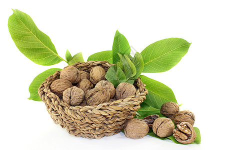 胡桃健康饮食食物季节性种子篮子树叶坚果棕色绿色图片