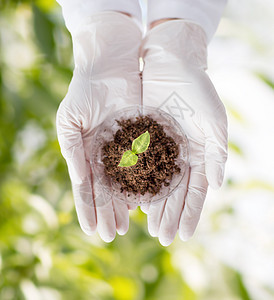 科学家用手与植物和土壤密闭实验生物基因样本草本植物生物学微生物学农业生物学家专家图片