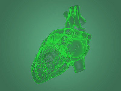 X射X光心脏解剖医院扫描药品解剖学生物学器官呼吸关心黑色技术图片