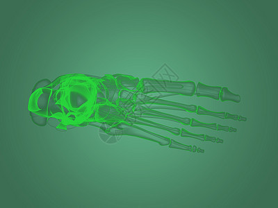 X射X光脚解剖术解剖学病人身体扫描疼痛药品生物学骨骼插图胸部图片