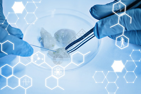 科学图形综合图象公式知识安全校园科学家高等教育鱼片工具解剖实验室图片