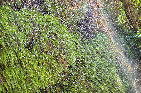 降水雨图片