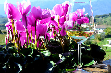 鲜花和葡萄酿眼镜豪饮假期奢华花朵饮料玫瑰花瓣盘子用具图片